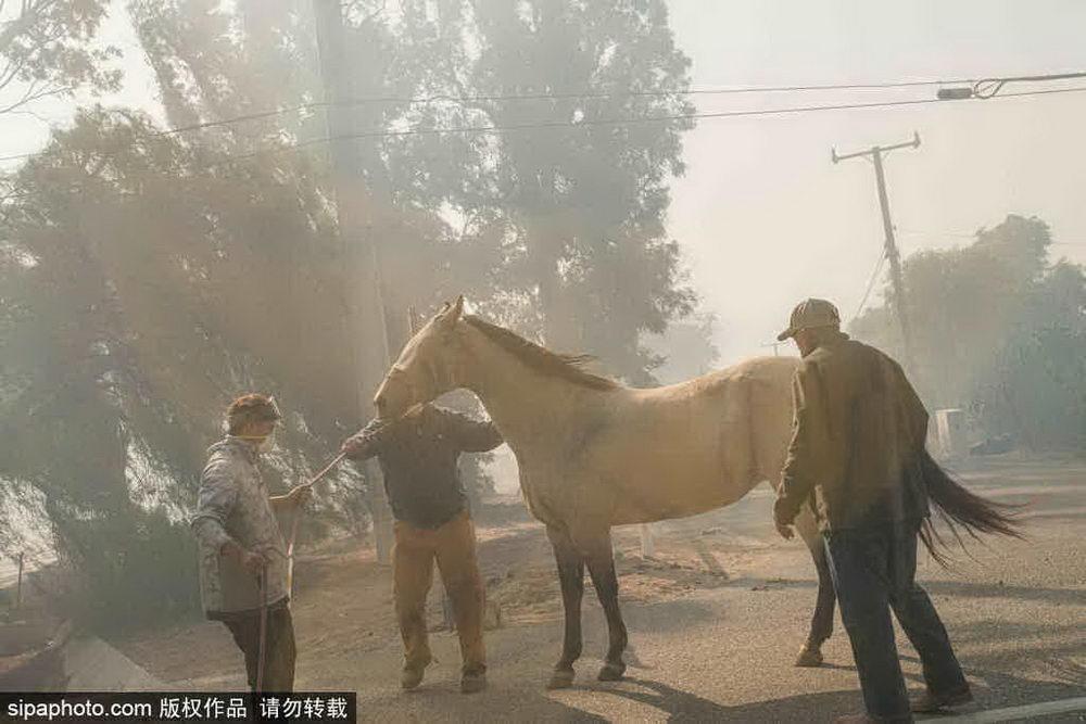 洛杉矶山火完全失控，灾难背后的挑战与应对