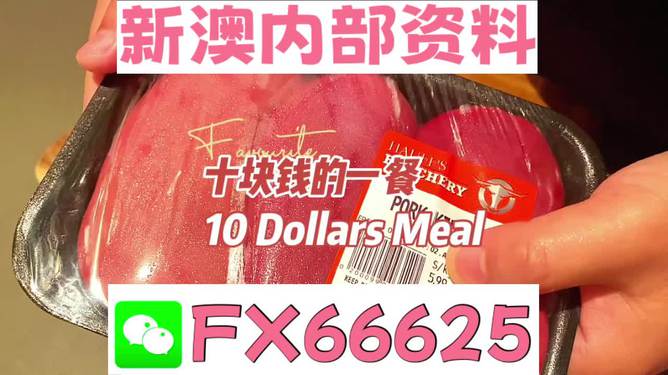 2025新澳最精准资料大全+Max60.902_执行落实