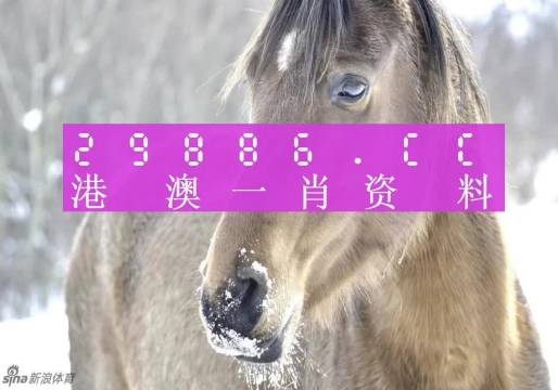 澳门一肖一码100‰+影像版29.213_反馈意见和建议