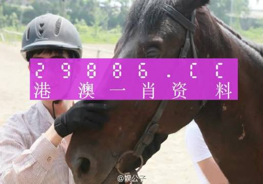 今期澳门一肖一码一码+安卓版59.735_全面解答解释落实